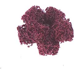 Vlies-Schleifstern medium 25mm M4 Aufnahme,zum Mattieren von Konturen