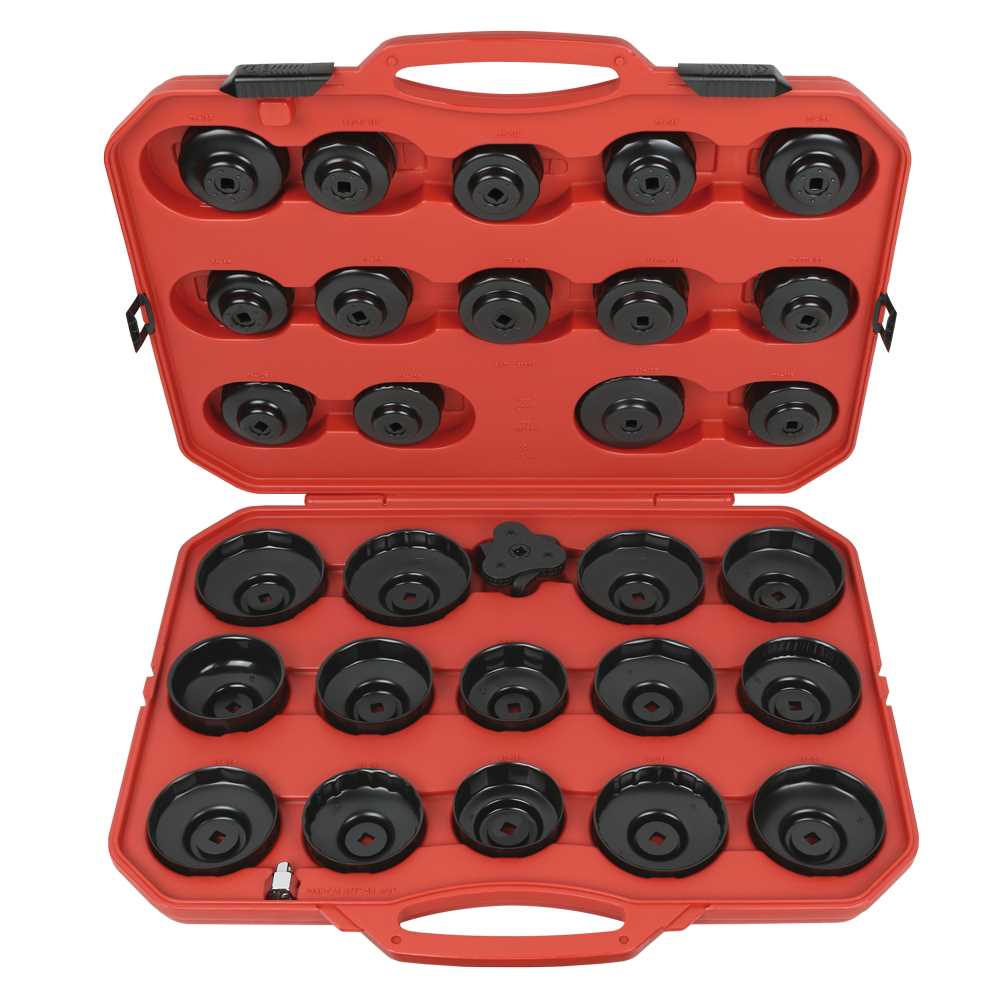 Ölfilterkappen-Satz 30-teilig Ø65-106mm und Ölfilterspinne,in Box