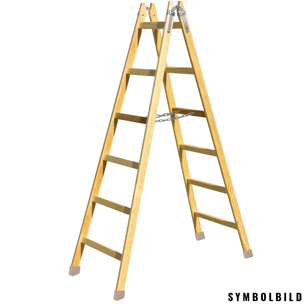 Holzdoppelleiter 2x14 mit Schuh 150kg Tragkraft,imprägniert,Ö-Norm EN