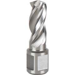 Vollbohrer 10mm Ø,35mm Schnitttiefe 19mm WELDONschaft