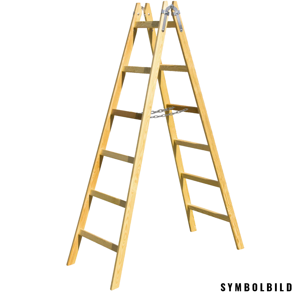 Holz-Doppel-Leiter 2x7 Tragkraft 150kg imprägniert Ö-Norm EN