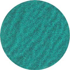 Fiberscheibe RASANT Ø51mm K80,2in1,grün mit Roloc Schnellverschluss