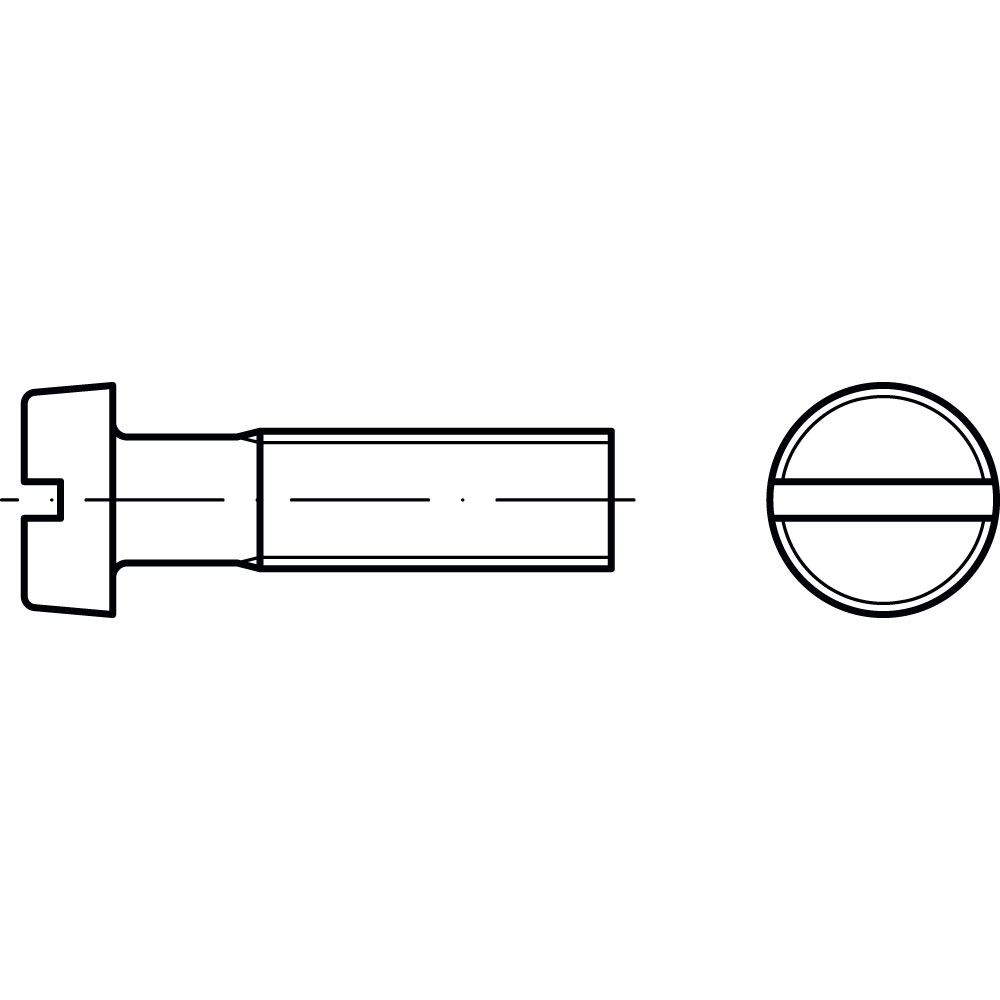 Zylinderschrauben ISO 1207 A4 M 4 x 30 ROST- UND SÄUREBESTÄNDIG VE=500