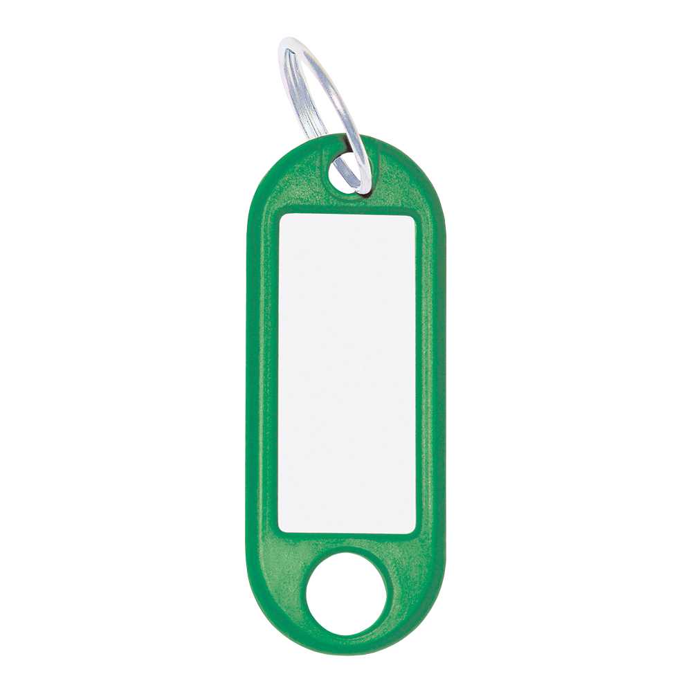 100 Stück Schlüsselanhänger,grün mit Ring
