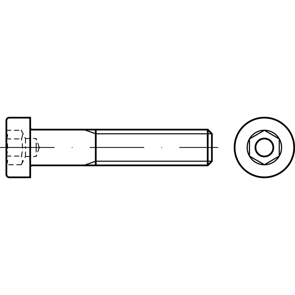 Zylinderschraube DIN 6912 A2 M 5 x 14 ROSTBESTÄNDIG VE=100