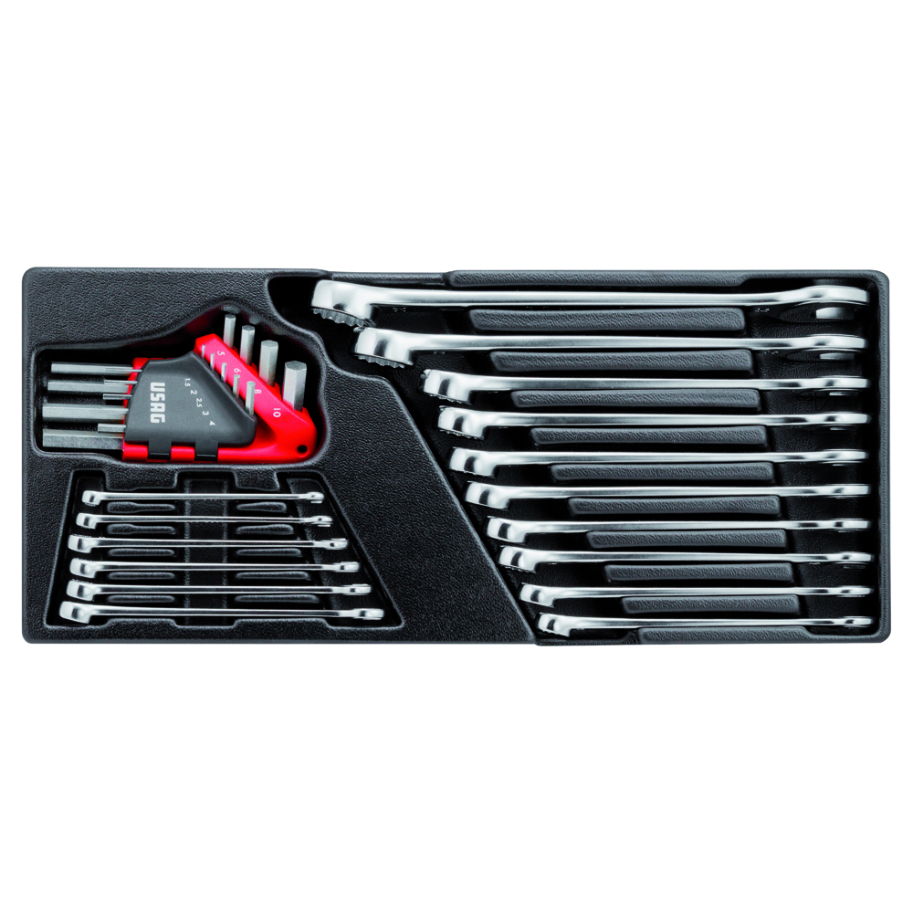 Ring-Gabelschlüssel-Modul 519/285A1 415x188x45mm,25-teilig,für Roll-Truck