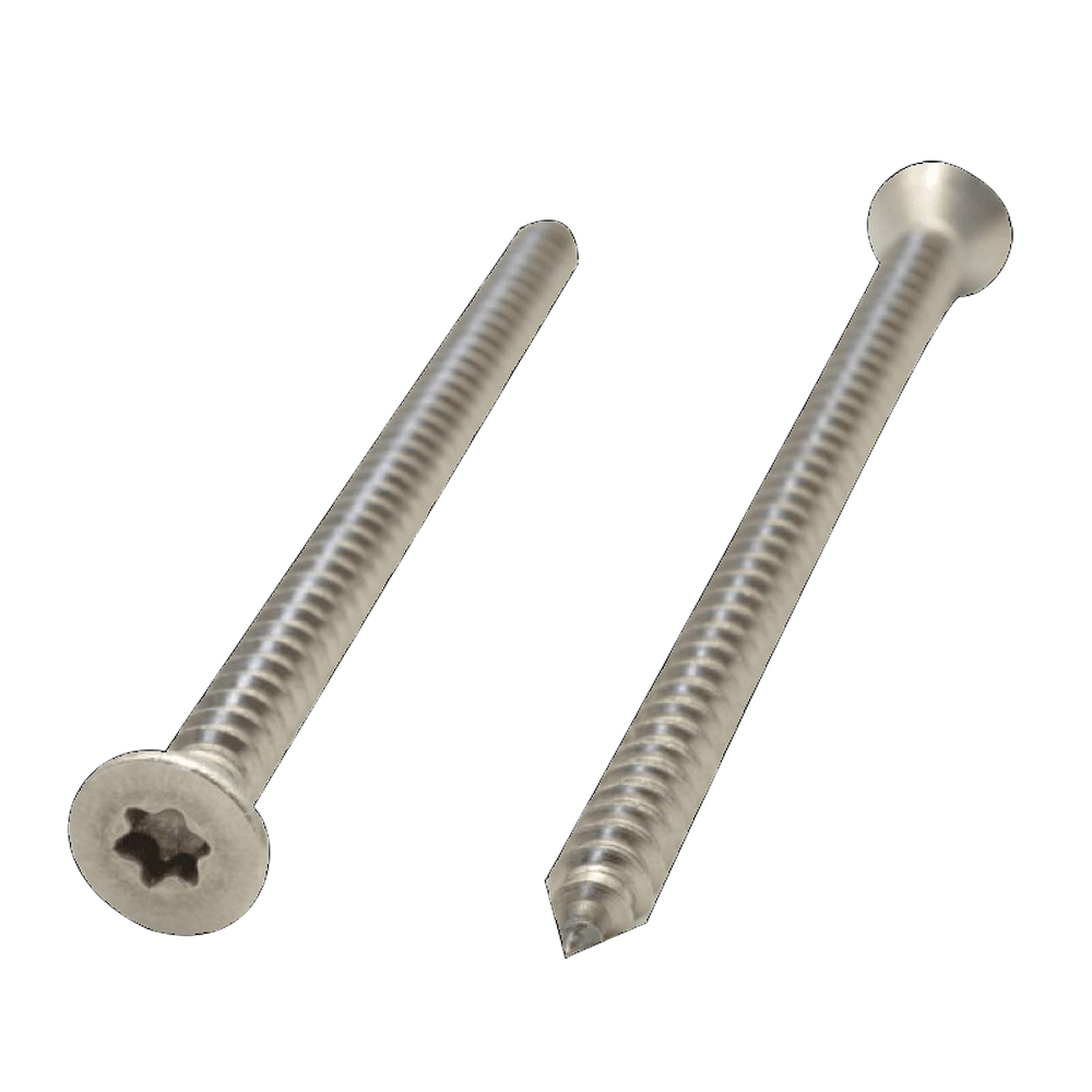 Senkblechschraube ISO 14586 A2 6,3 x 100 ROSTBESTÄNDIG TX C MIT SPITZE VP=200