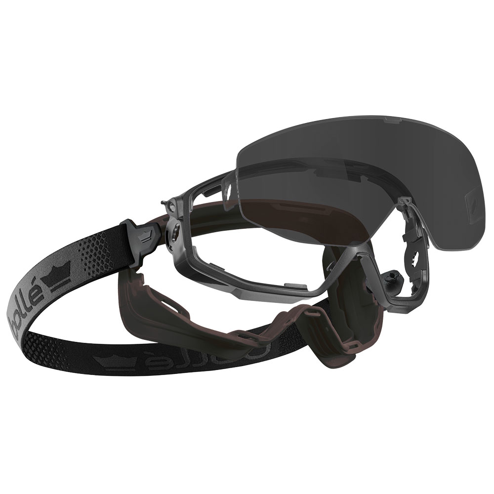 Vollsichtbrille Universal Bolle Tönung 5 EN 166 5-1-9 UV-Schutz Schweißertönung 5