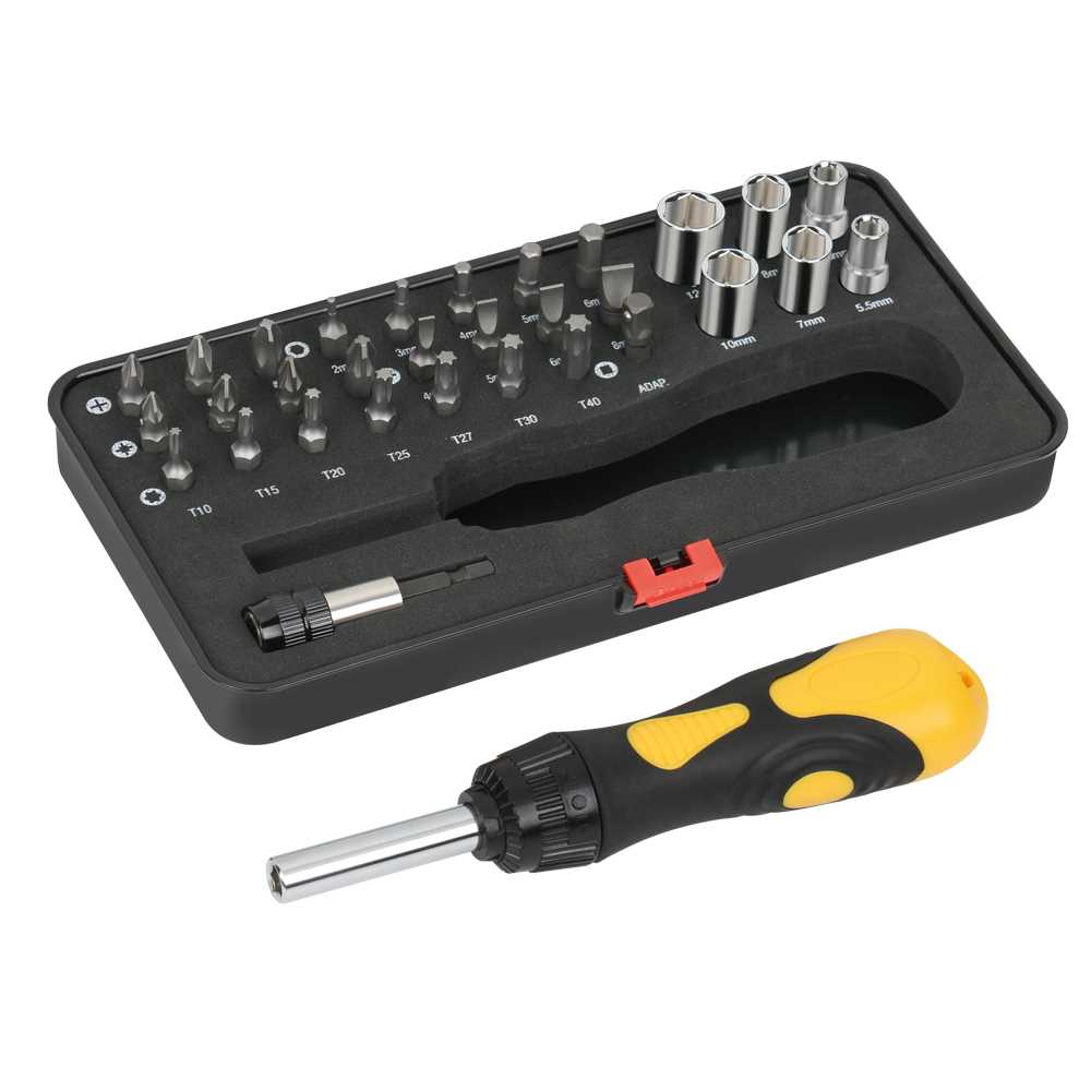 Ratsch-Bit-Nuss-Box 32-teilig alle Bits 25mm lang,Stecknüsse 1/4"